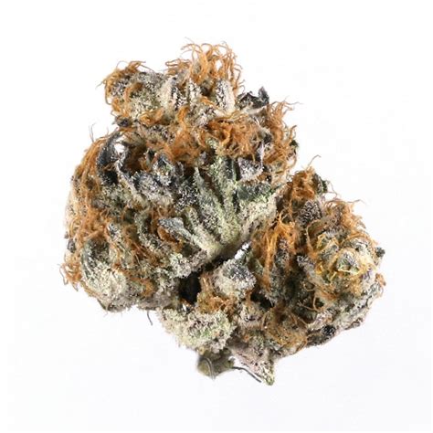 blue burberry weedsamen|Blueberry aka Berry Blue Weed Strain Information .